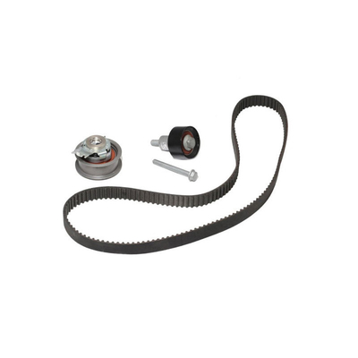 21SKV004 Propósito de reemplazo/reparación Kit de cinturón de la cadena de tiempo del motor para VW Audi 04E198119A