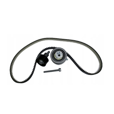 21SKV004 Propósito de reemplazo/reparación Kit de cinturón de la cadena de tiempo del motor para VW Audi 04E198119A