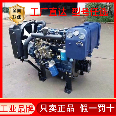 Motores marinos de diesel azul/negro perfectos para reemplazo/reparación