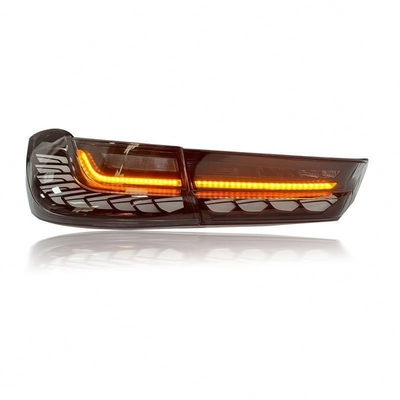 Luz trasera de coche LED para BMW Serie 3 G20 G28 con señal DRL y lámpara trasera de escala de dragón